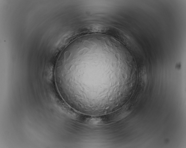 X0000111820554200907301259