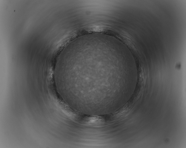 X0000111820555200907301259