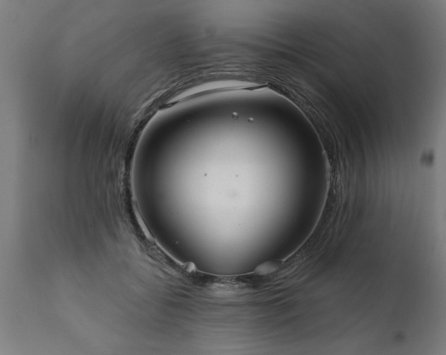 X0000111820556200907301259