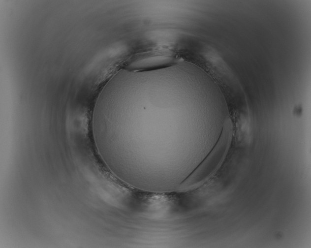X0000111820562200907301259