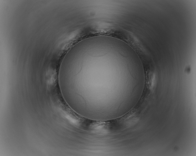 X0000111820563200907301259