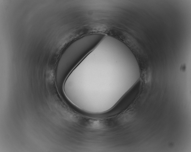 X0000111820564200907301259