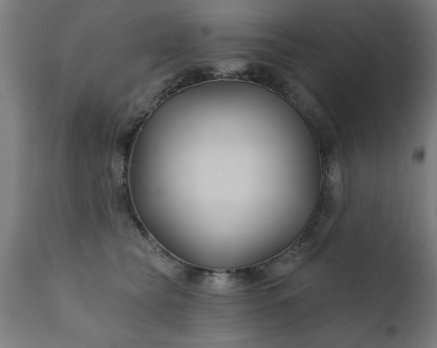 X0000111820565200907301259