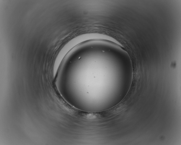 X0000111820566200907301259