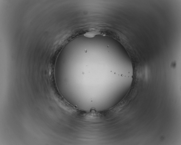 X0000111820567200907301259