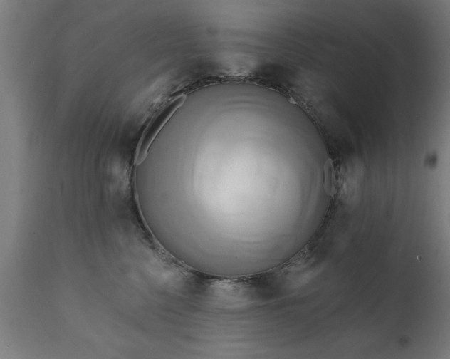 X0000111820568200907301300