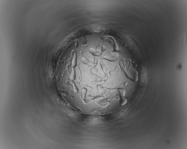 X0000111820569200907301300