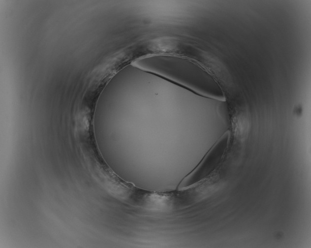 X0000111820570200907301300