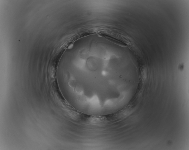 X0000111820571200907301300