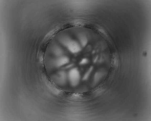 X0000111820573200907301300