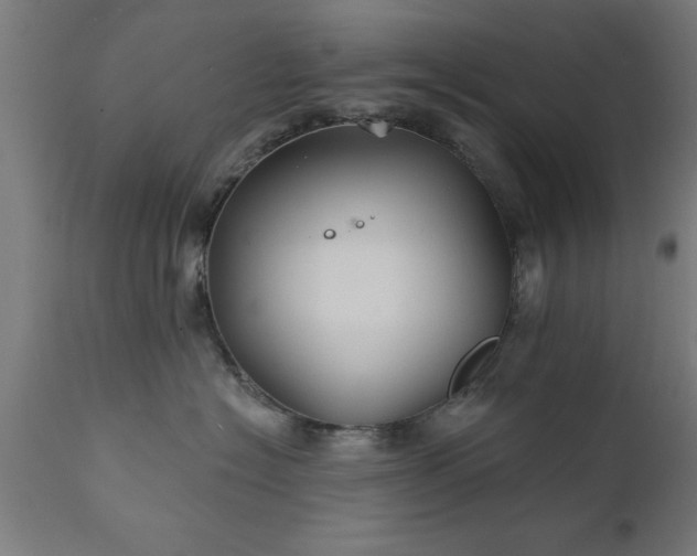 X0000111820574200907301300