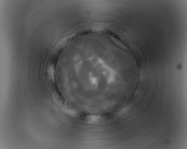 X0000111820575200907301300