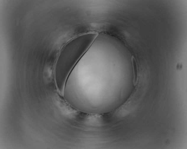 X0000111820576200907301300