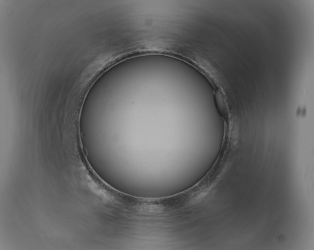 X0000111820577200907301259