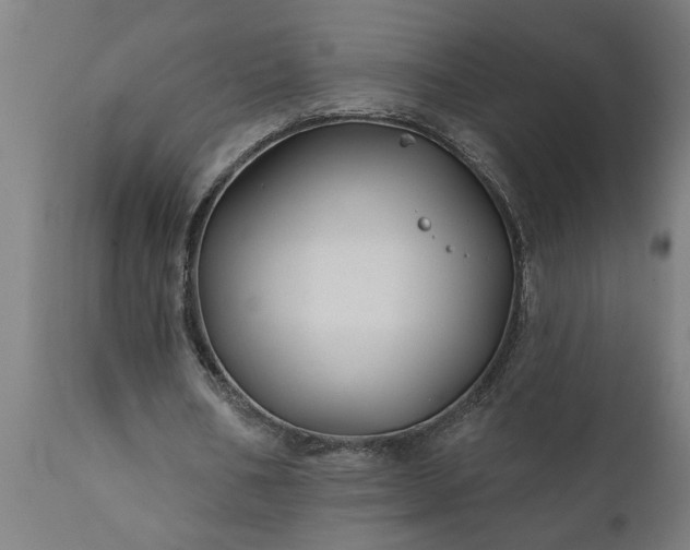 X0000111820578200907301259