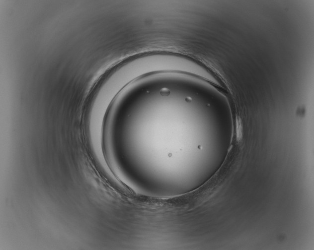 X0000111820579200907301259