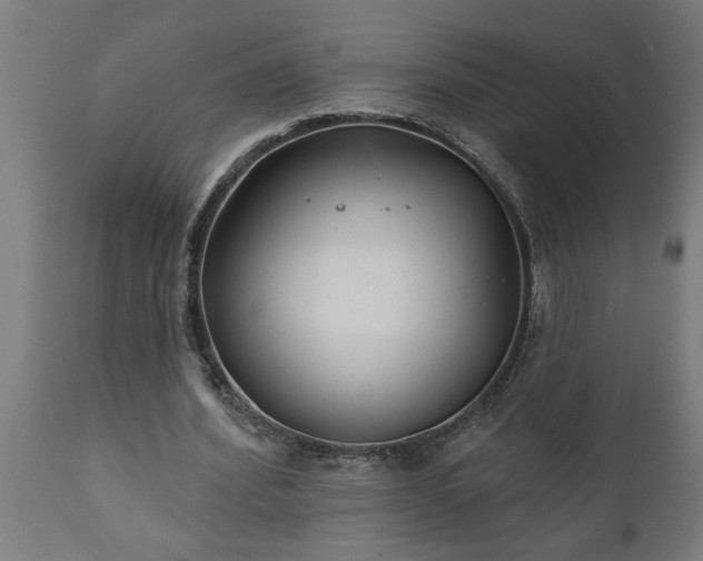 X0000111820580200907301259