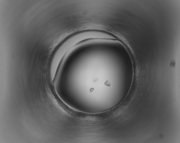 X0000111820581200907301259