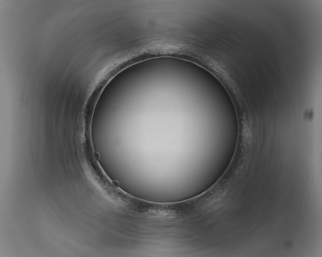 X0000111820582200907301259