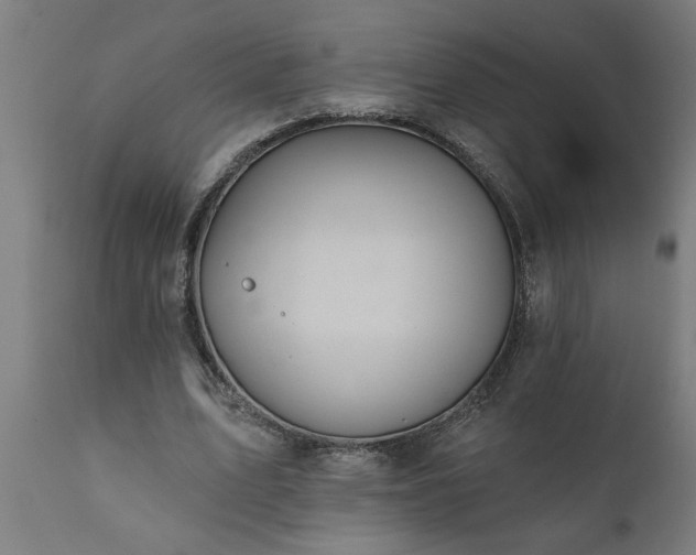 X0000111820583200907301259