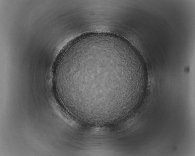 X0000111820584200907301259