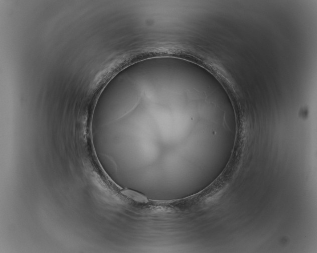 X0000111820585200907301259
