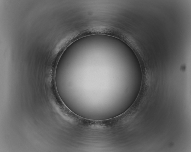 X0000111820586200907301259