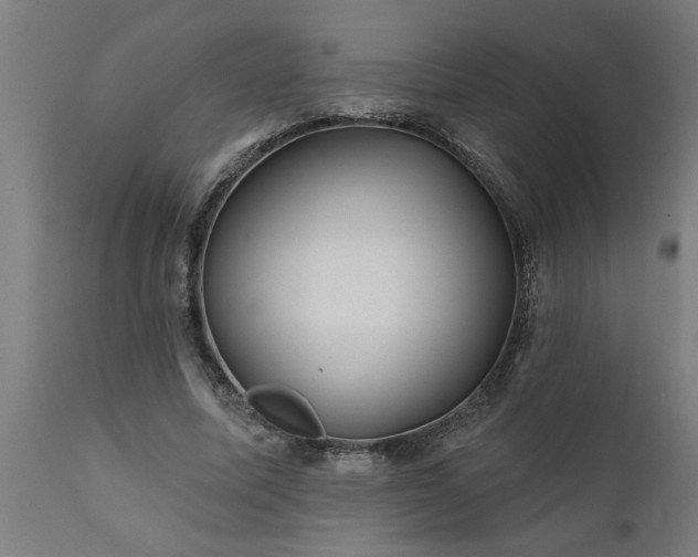 X0000111820587200907301259