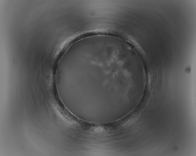 X0000111820588200907301259