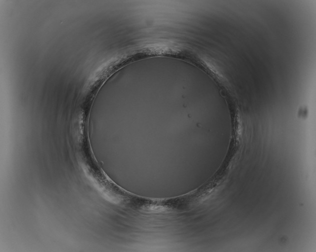 X0000111820590200907301259