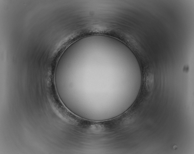 X0000111820591200907301259
