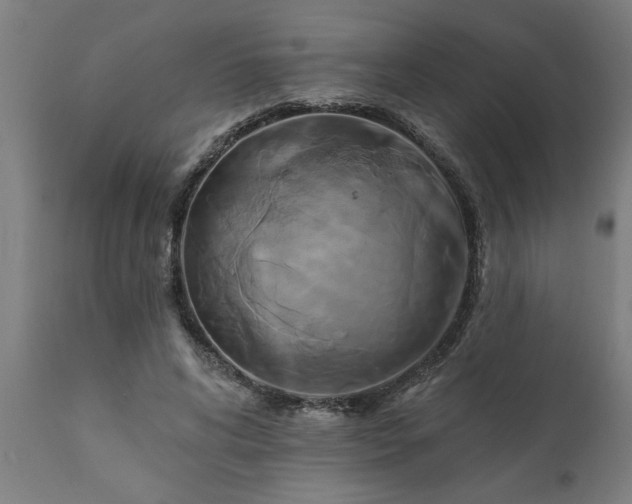 X0000111820592200907301259