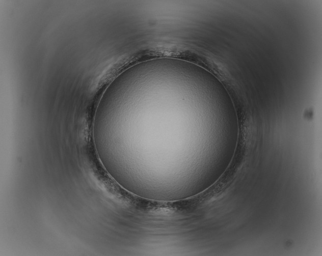 X0000111820594200907301259