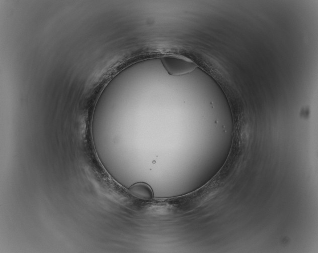 X0000111820595200907301259