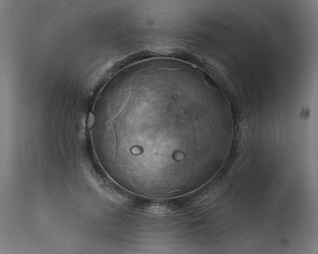 X0000111820596200907301259