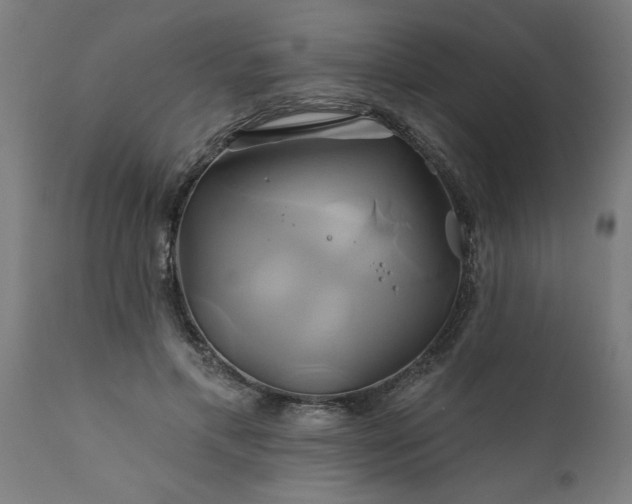 X0000111820597200907301259