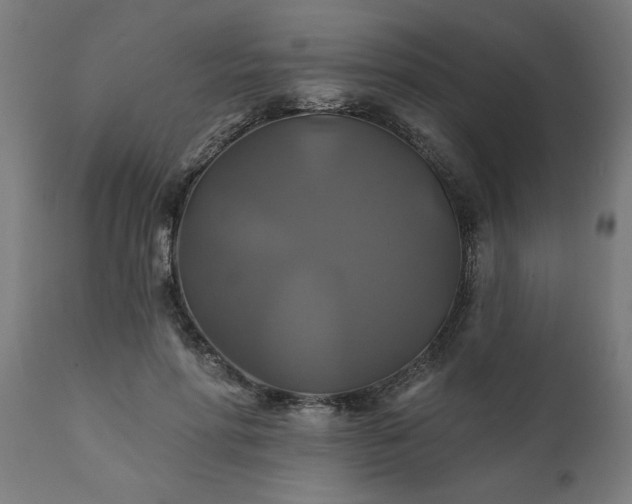 X0000111820598200907301259