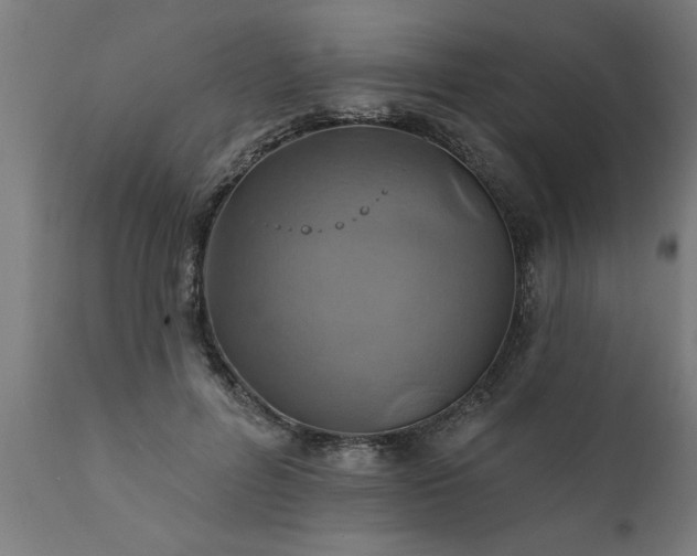 X0000111820600200907301259