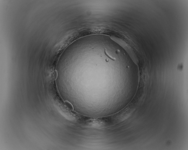 X0000111820601200907301259