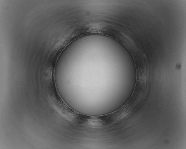 X0000111820603200907301259