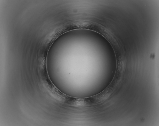 X0000111820604200907301259