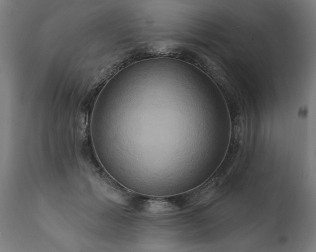 X0000111820605200907301259