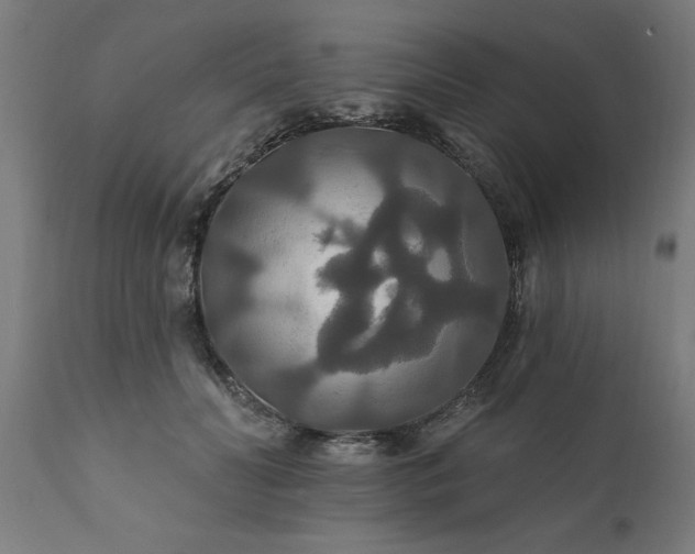 X0000111820606200907301259