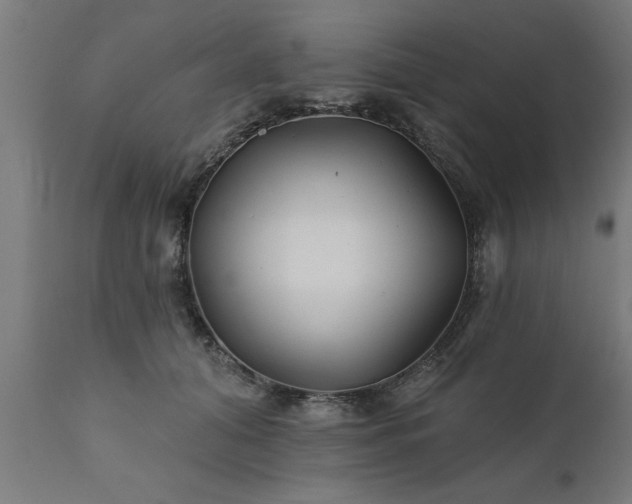 X0000111820608200907301259