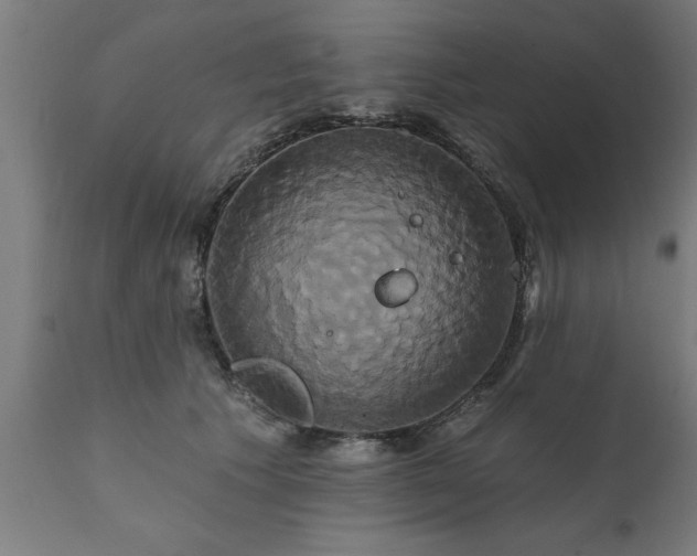 X0000111820609200907301259
