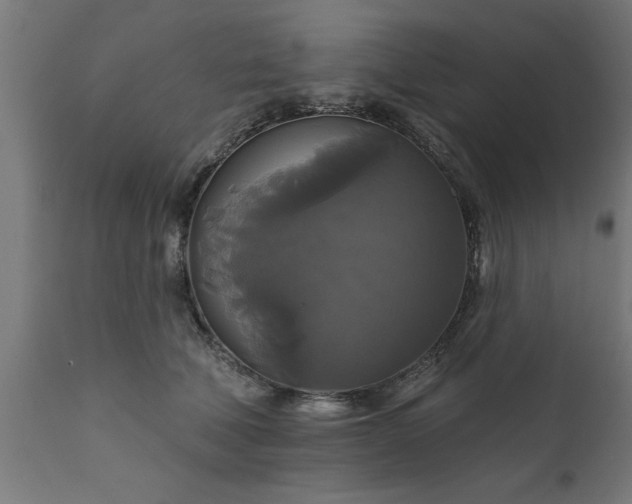 X0000111820610200907301259