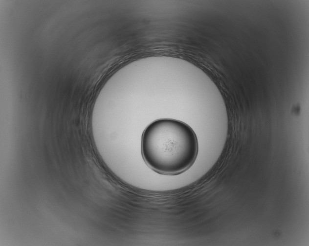 X0000111820611200907301258
