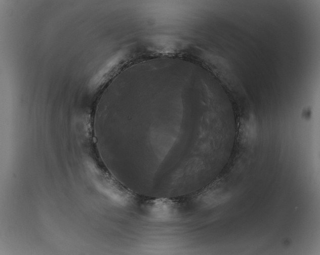 X0000111820612200907301258