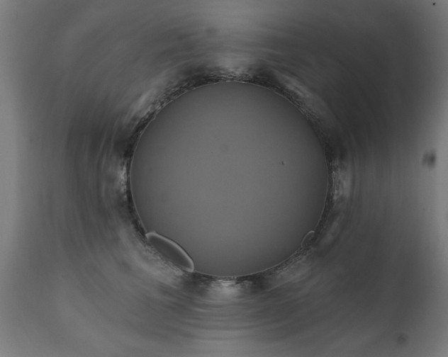 X0000111820613200907301258