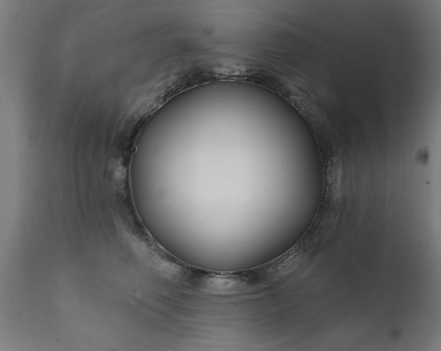 X0000111820614200907301258